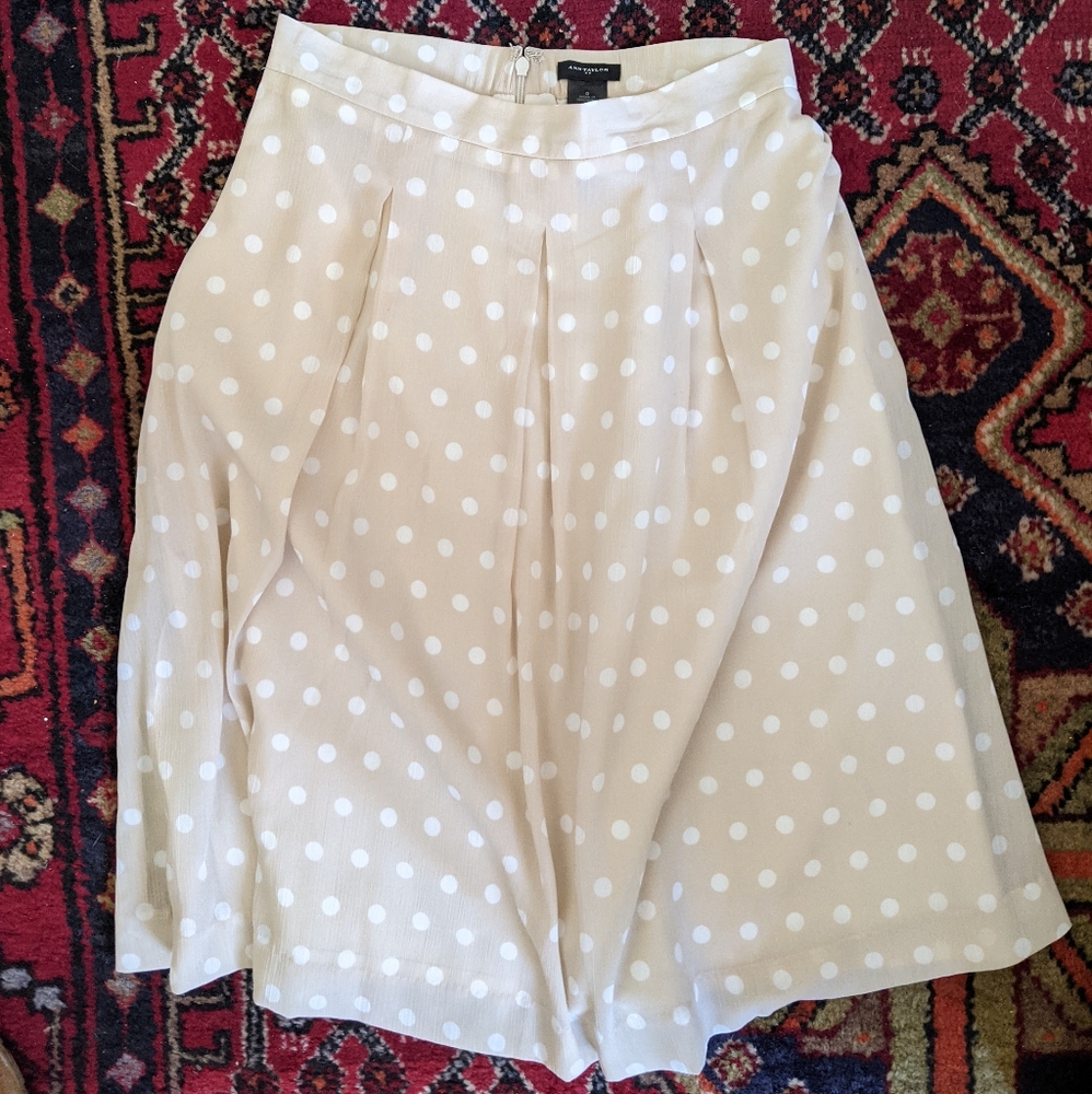 Ann Taylor skirt